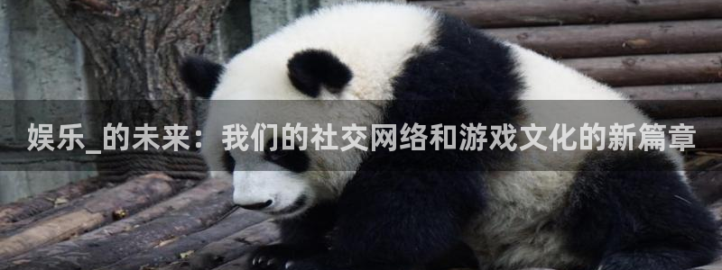 蓝图娱乐平台：娱乐_的未来：我们的社交网络和游戏文化的新篇章