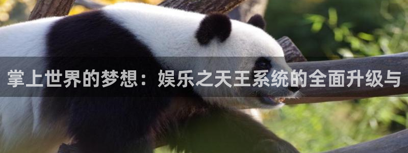 蓝图娱乐官网入口：掌上世界的梦想：娱乐之天王系统的全面升级与