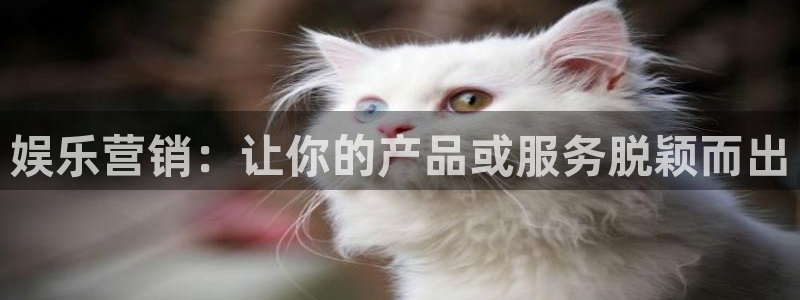 蓝图娱乐：娱乐营销：让你的产品或服务脱颖而出