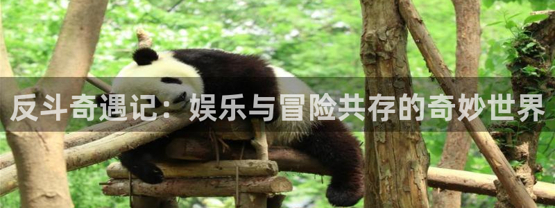 蓝图娱乐平台：反斗奇遇记：娱乐与冒险共存的奇妙世界